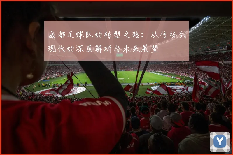 成都足球队的转型之路：从传统到现代的深度解析与未来展望