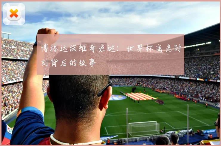博格达诺维奇亲述：世界杯高光时刻背后的故事